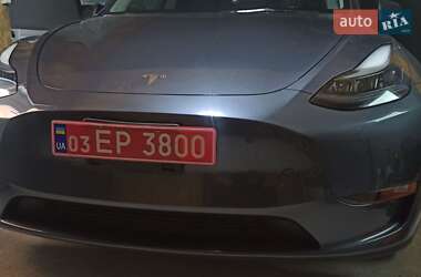 Внедорожник / Кроссовер Tesla Model Y 2023 в Жмеринке