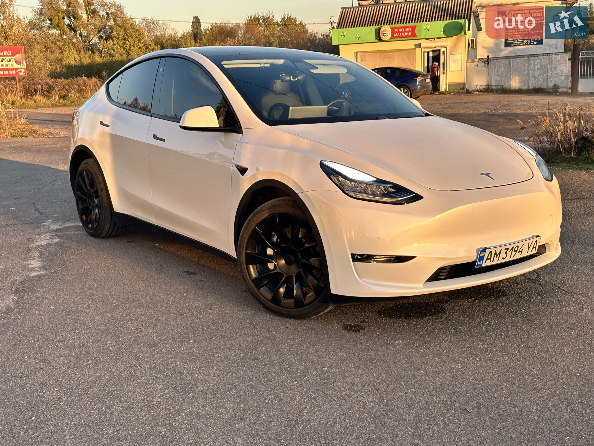 2020 Tesla Model Y - фото 1