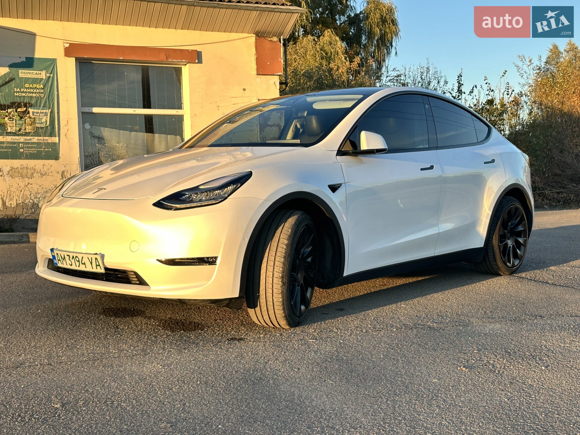 2020 Tesla Model Y - мініатюра 2