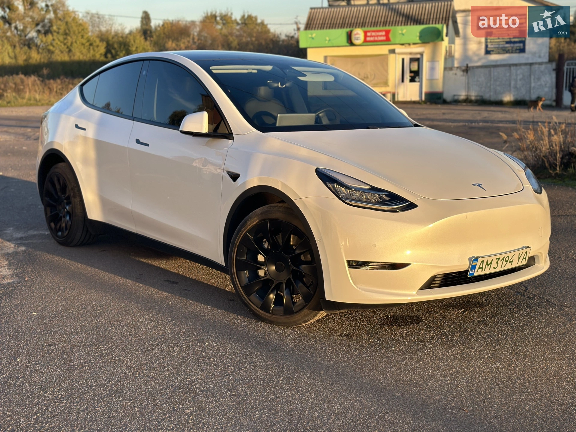 2020 Tesla Model Y - мініатюра 9