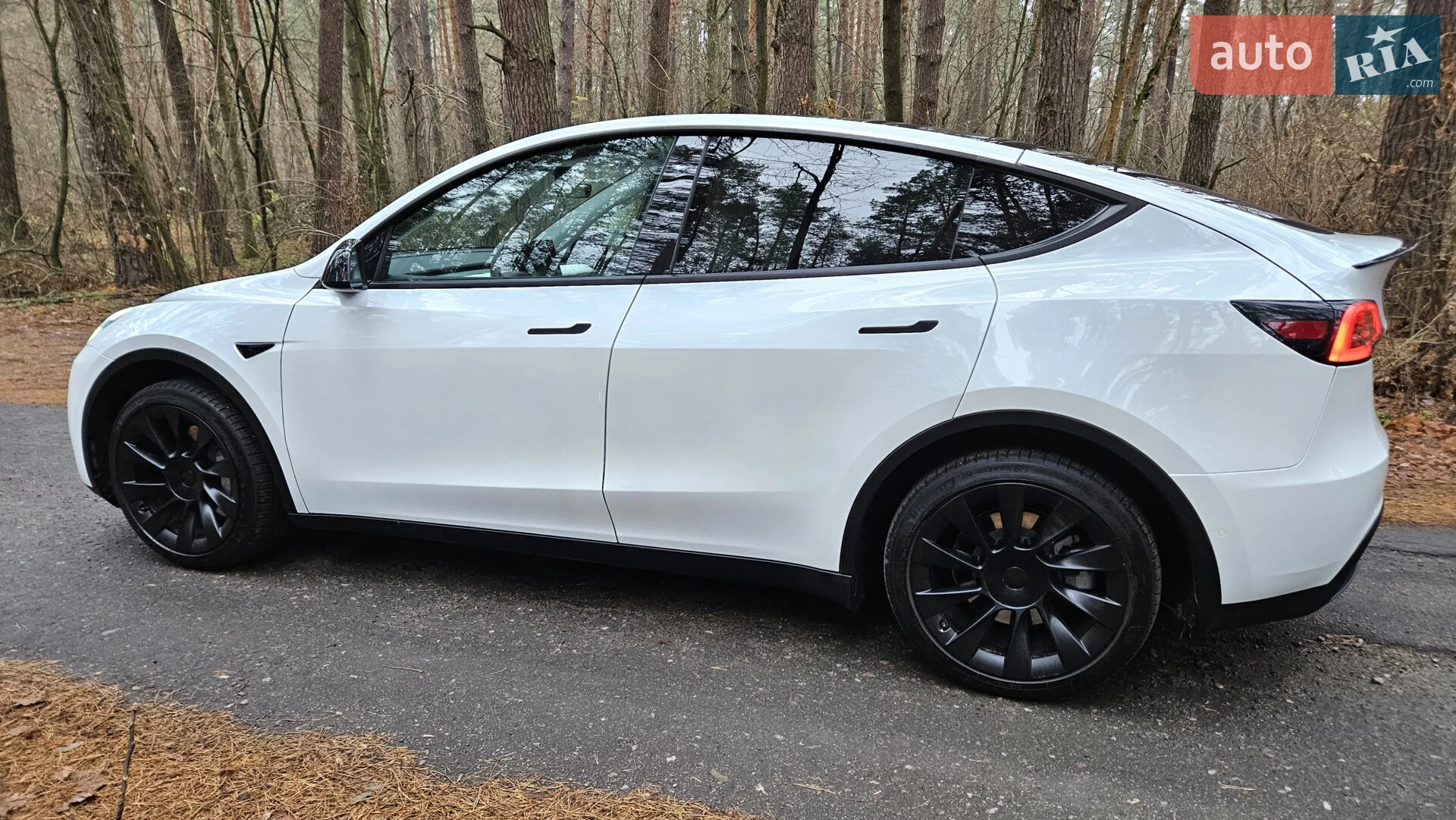2020 Tesla Model Y - мініатюра 4