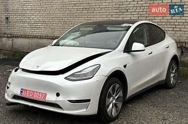 Позашляховик / Кросовер Tesla Model Y 2021 в Луцьку