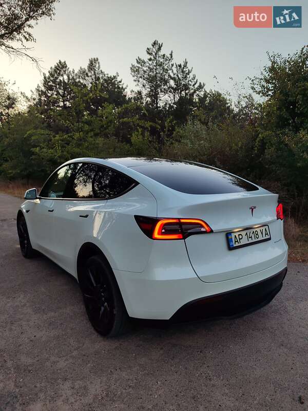 Внедорожник / Кроссовер Tesla Model Y 2023 в Запорожье
