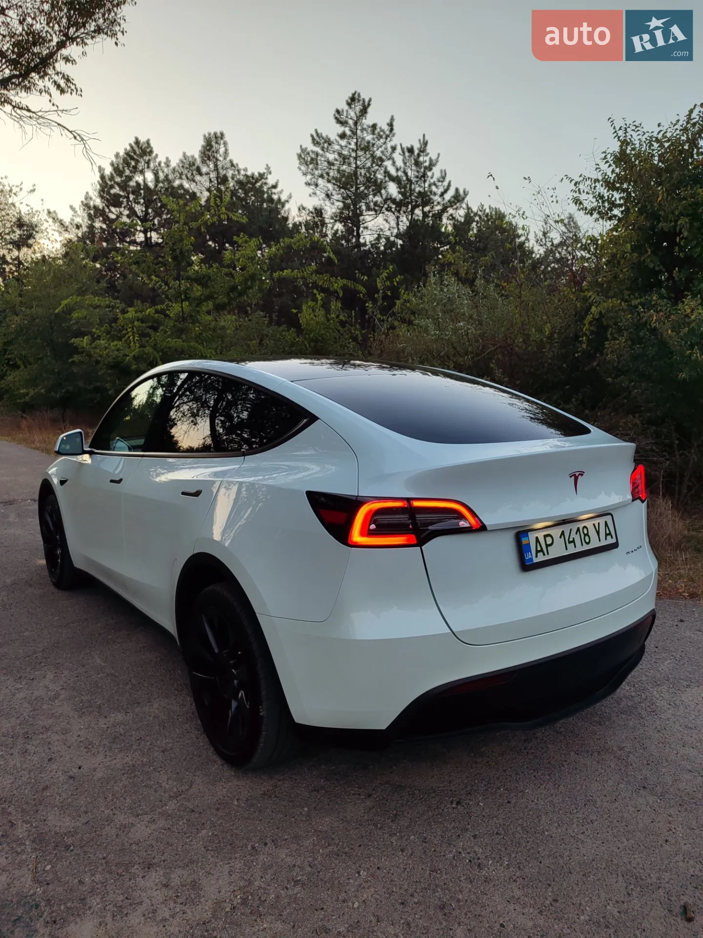 2023 Tesla Model Y - мініатюра 6