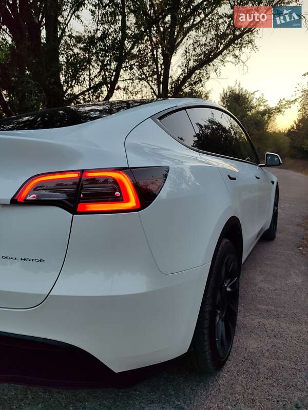 Внедорожник / Кроссовер Tesla Model Y 2023 в Запорожье