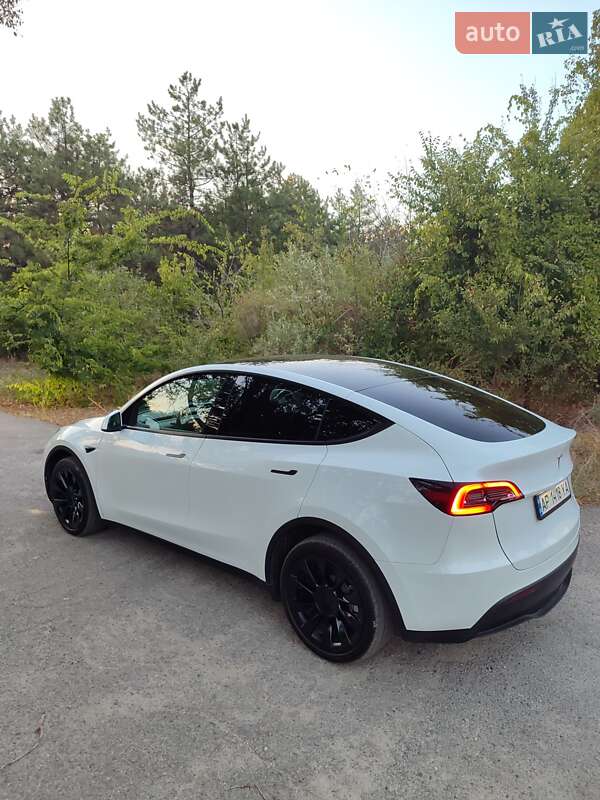 Внедорожник / Кроссовер Tesla Model Y 2023 в Запорожье