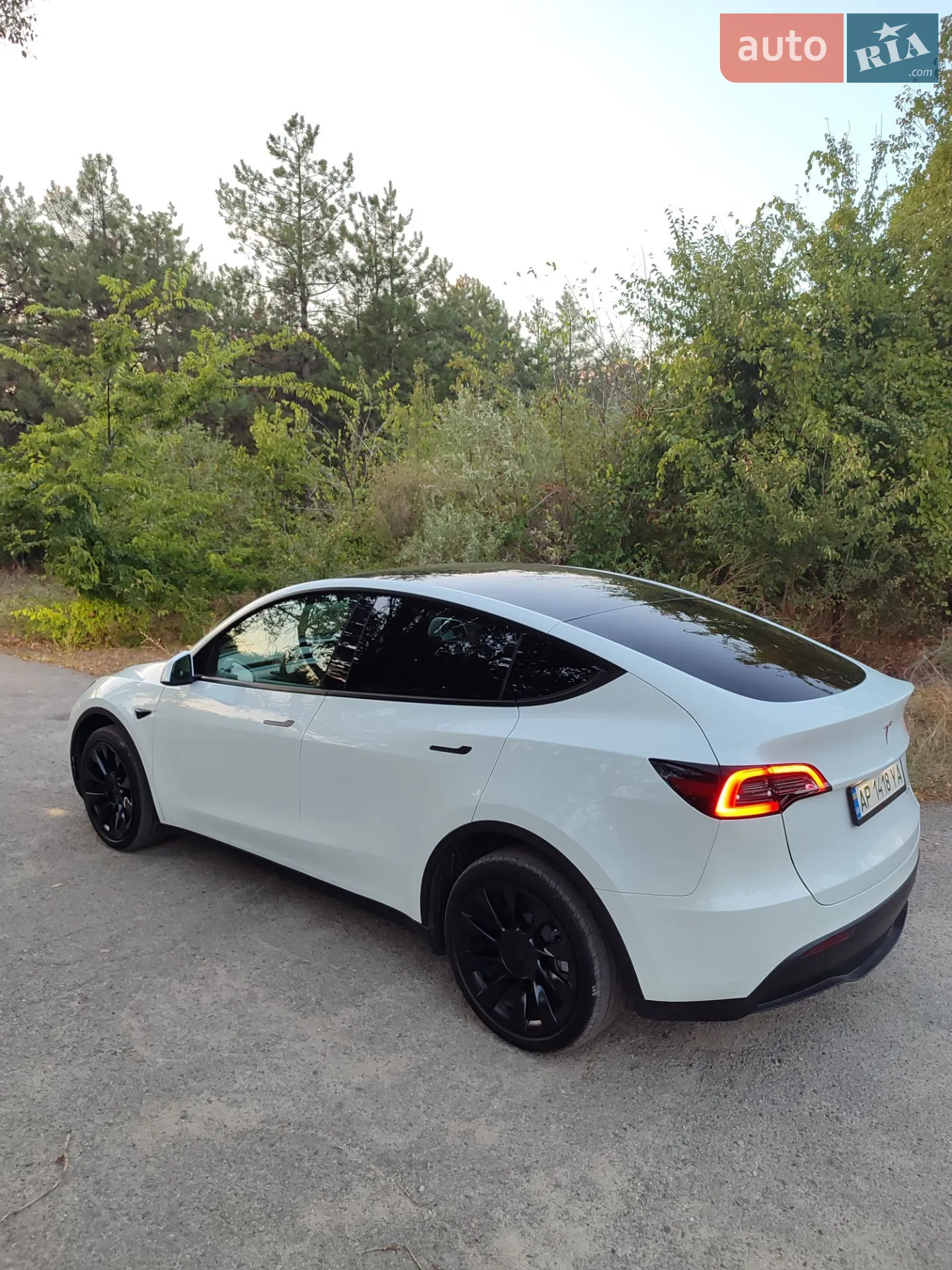 2023 Tesla Model Y - мініатюра 30