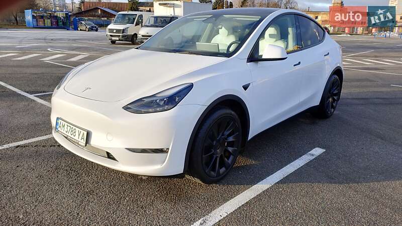 Позашляховик / Кросовер Tesla Model Y 2023 в Житомирі