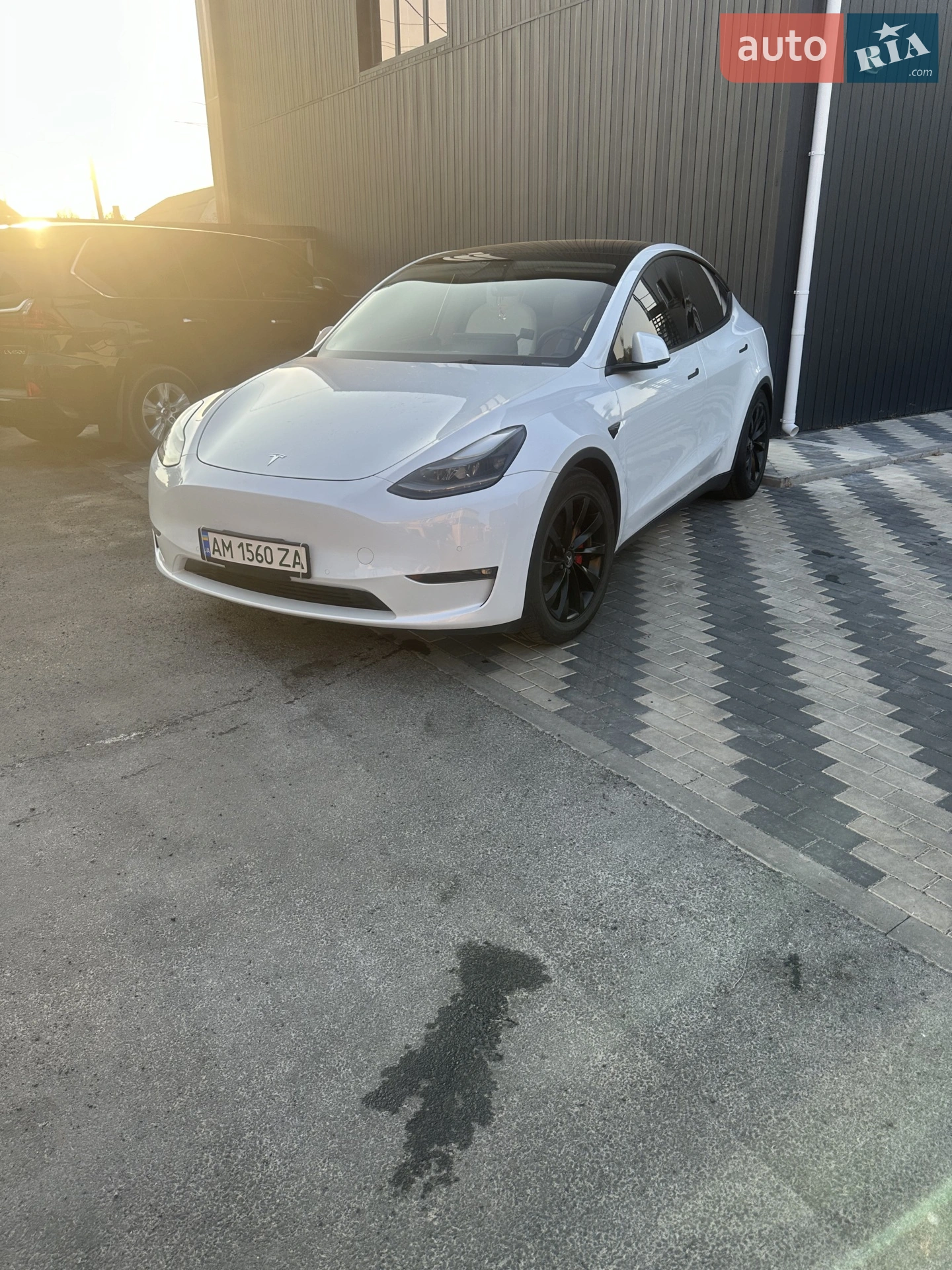 2022 Tesla Model Y - мініатюра 4