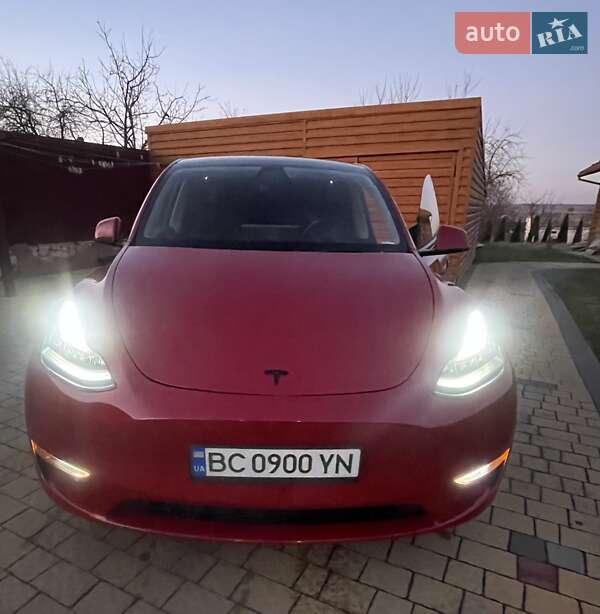 Внедорожник / Кроссовер Tesla Model Y 2021 в Львове