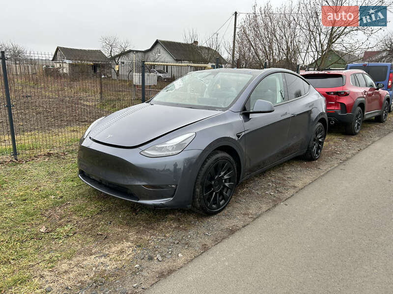 Внедорожник / Кроссовер Tesla Model Y 2023 в Луцке