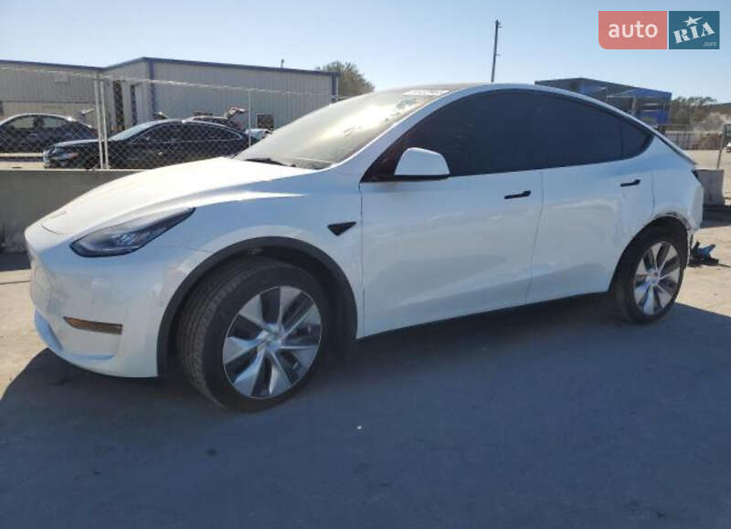 Внедорожник / Кроссовер Tesla Model Y 2021 в Каменском