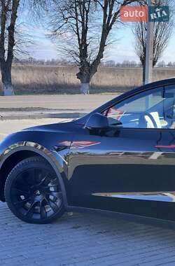 Внедорожник / Кроссовер Tesla Model Y 2023 в Борисполе