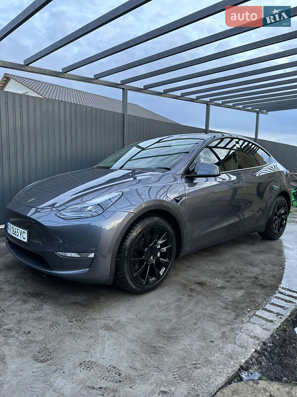 Позашляховик / Кросовер Tesla Model Y 2023 в Києві