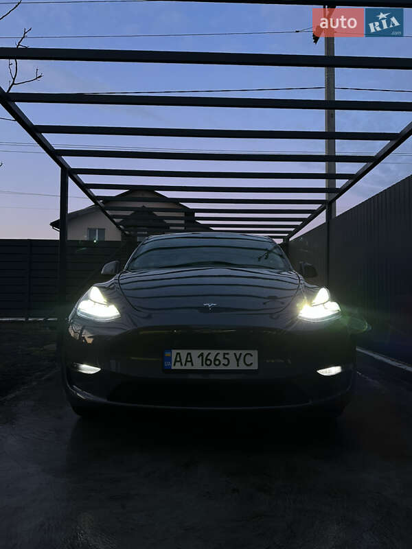 Позашляховик / Кросовер Tesla Model Y 2023 в Києві