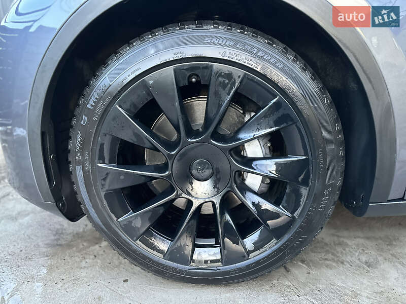 Позашляховик / Кросовер Tesla Model Y 2023 в Києві