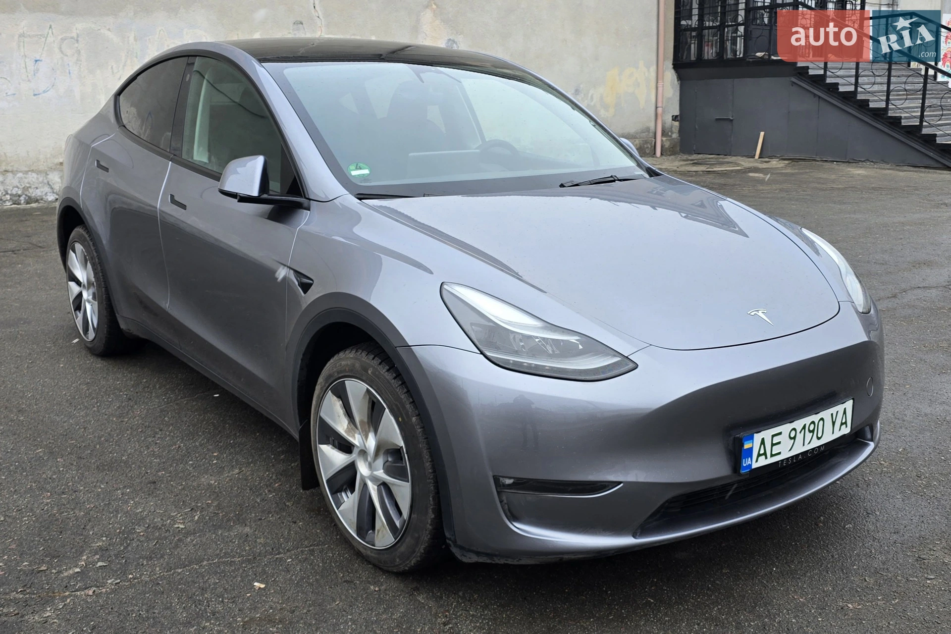 2024 Tesla Model Y - фото 1