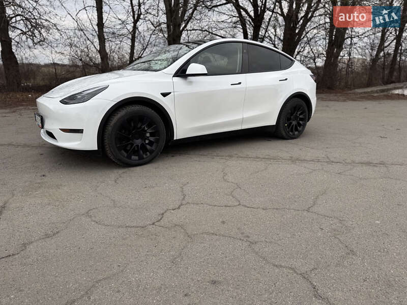 Позашляховик / Кросовер Tesla Model Y 2024 в Шепетівці