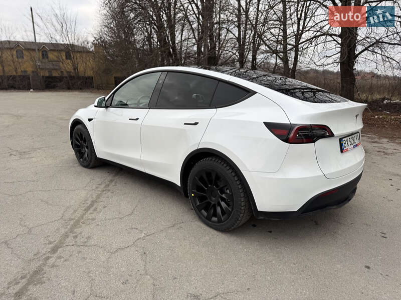 Внедорожник / Кроссовер Tesla Model Y 2024 в Шепетовке