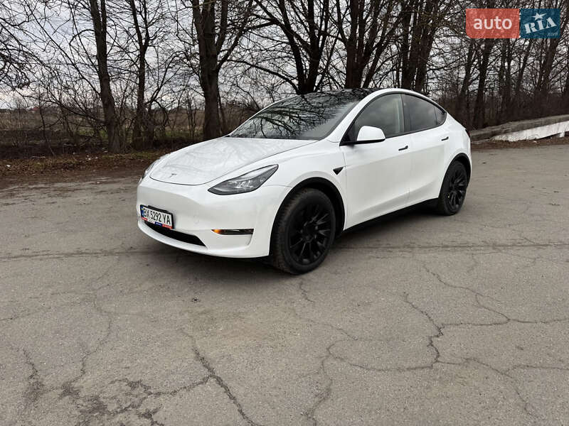 Позашляховик / Кросовер Tesla Model Y 2024 в Шепетівці