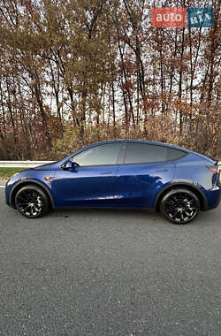 Позашляховик / Кросовер Tesla Model Y 2020 в 