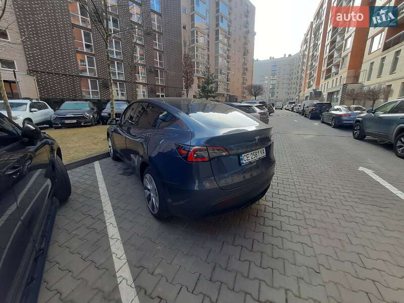 Лифтбек Tesla Model Y 2020 в Черновцах