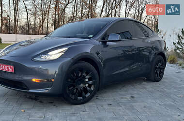 Внедорожник / Кроссовер Tesla Model Y 2021 в Луцке