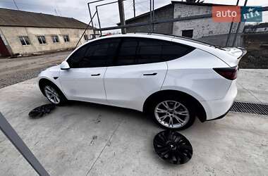 Внедорожник / Кроссовер Tesla Model Y 2023 в 