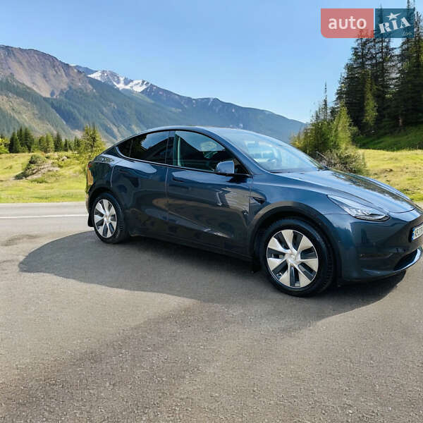 Внедорожник / Кроссовер Tesla Model Y 2022 в Виннице