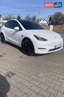 Внедорожник / Кроссовер Tesla Model Y 2022 в Житомире