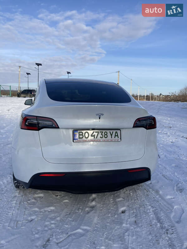 Позашляховик / Кросовер Tesla Model Y 2020 в Тернополі