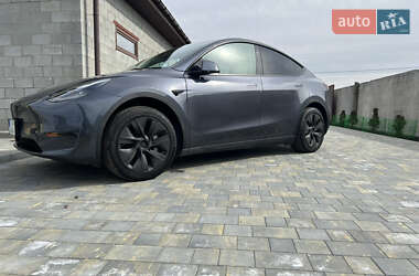 Внедорожник / Кроссовер Tesla Model Y 2023 в Днепре