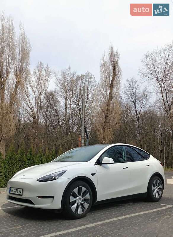Внедорожник / Кроссовер Tesla Model Y 2020 в Хмельницком