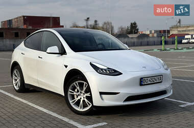 Внедорожник / Кроссовер Tesla Model Y 2023 в 