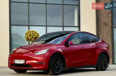Позашляховик / Кросовер Tesla Model Y 2021 в 