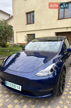Позашляховик / Кросовер Tesla Model Y 2021 в 