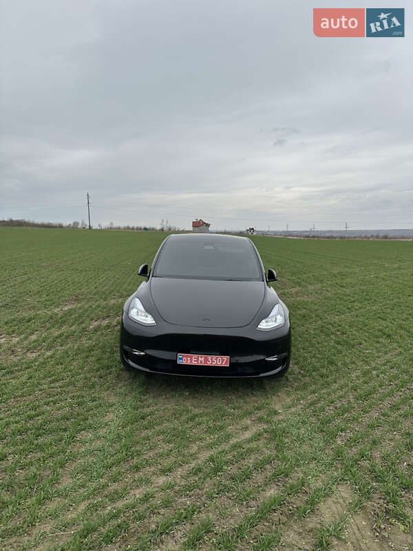 Внедорожник / Кроссовер Tesla Model Y 2022 в Львове