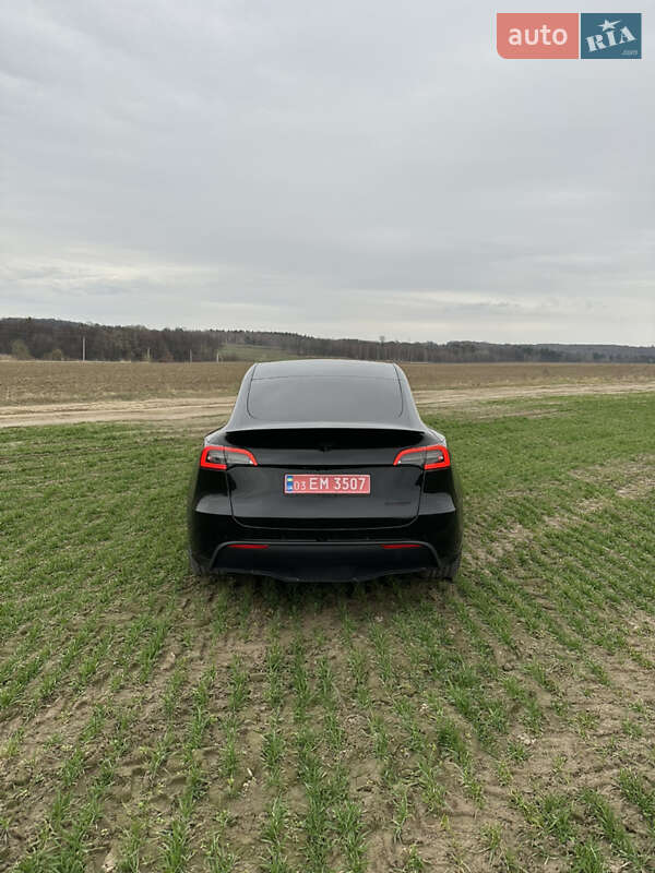 Внедорожник / Кроссовер Tesla Model Y 2022 в Львове