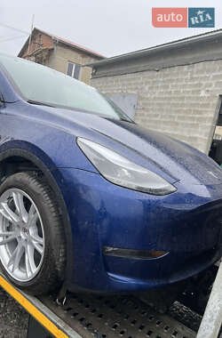 Внедорожник / Кроссовер Tesla Model Y 2024 в 
