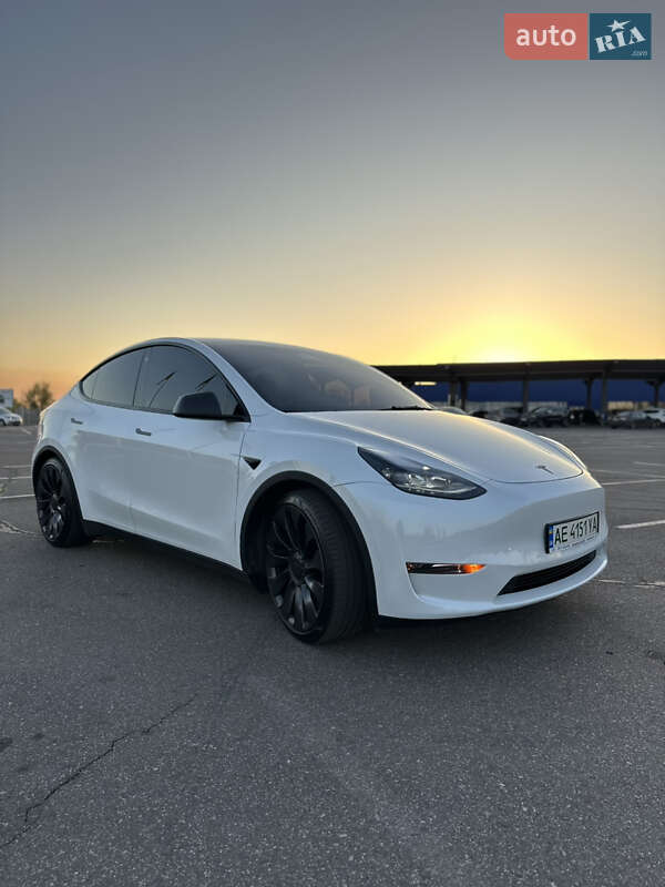 Внедорожник / Кроссовер Tesla Model Y 2021 в Кривом Роге