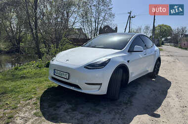 Внедорожник / Кроссовер Tesla Model Y 2023 в 