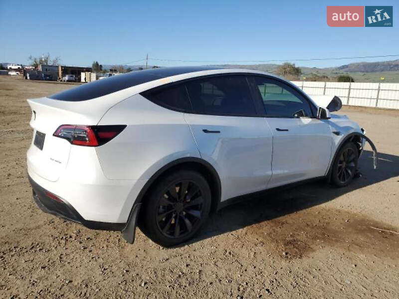 Внедорожник / Кроссовер Tesla Model Y 2023 в Киеве