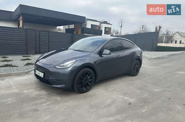 Позашляховик / Кросовер Tesla Model Y 2023 в Дніпрі