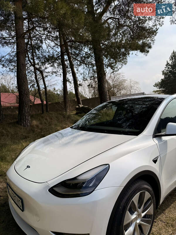 Внедорожник / Кроссовер Tesla Model Y 2023 в Львове