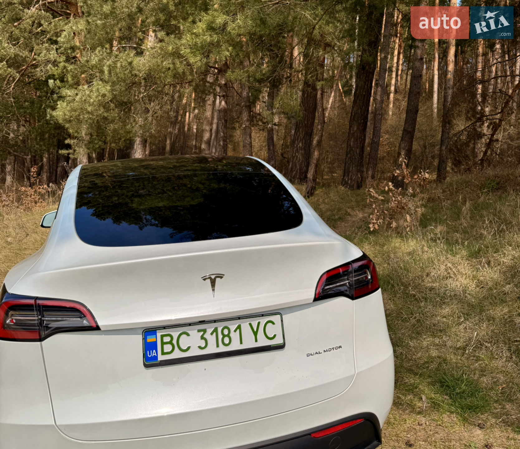 2023 Tesla Model Y - мініатюра 10