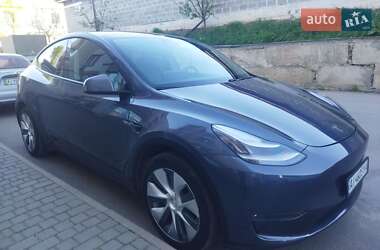 Внедорожник / Кроссовер Tesla Model Y 2020 в 