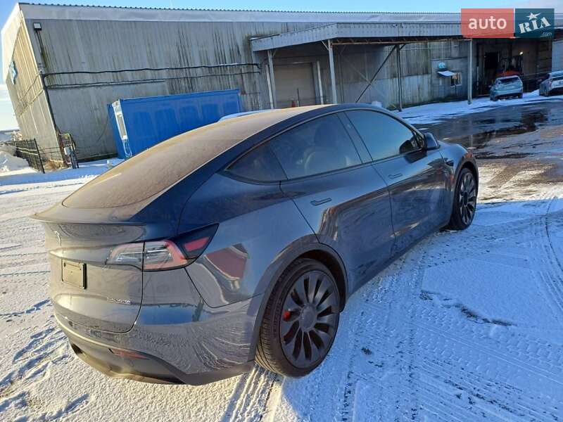 Внедорожник / Кроссовер Tesla Model Y 2023 в Кропивницком фото 29 Внедорожник / Кроссовер Tesla Model Y 2023 в Кропивницком