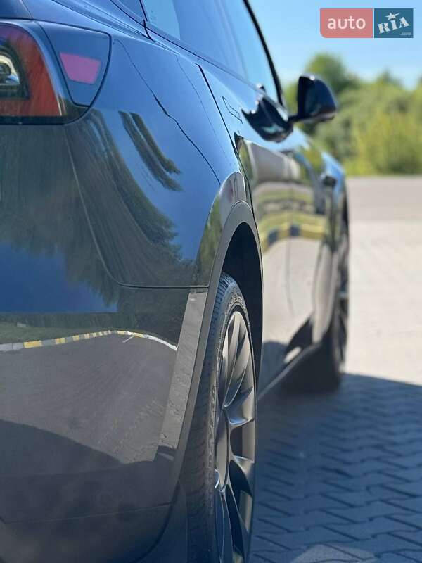 Позашляховик / Кросовер Tesla Model Y 2023 в Ковелі