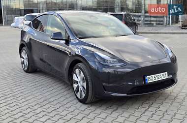 Внедорожник / Кроссовер Tesla Model Y 2024 в Тернополе