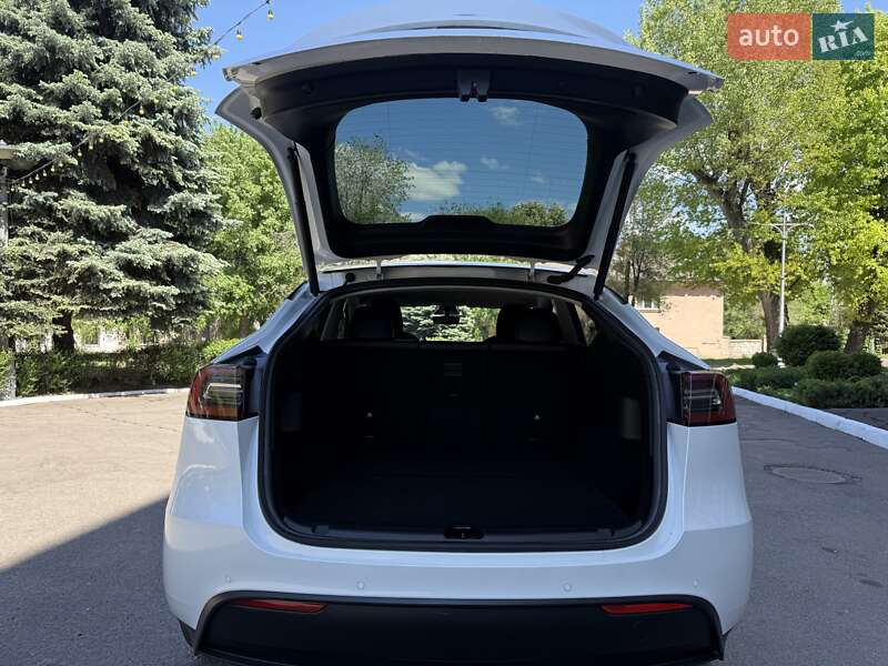 Позашляховик / Кросовер Tesla Model Y 2021 в Кам'янському